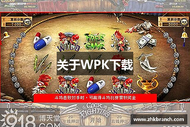 关于WPK下载